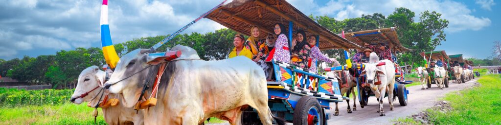 Paket 2 Ber - Gerobak Sapi - Omah Kecebong