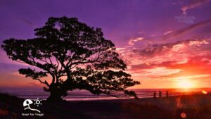Pantai Pok Tunggal Gunungkidul