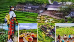 Kopi Ampirono Kulon Progo